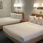 Commack Inn Experience the Best Rooms for Comfort and Value in Long Island, NY